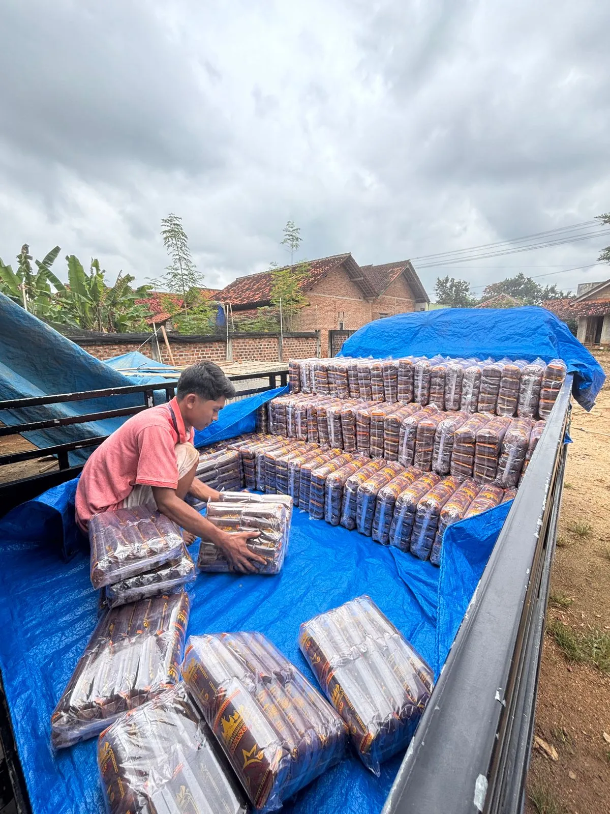 Distribusi Produk Kopi Lampung