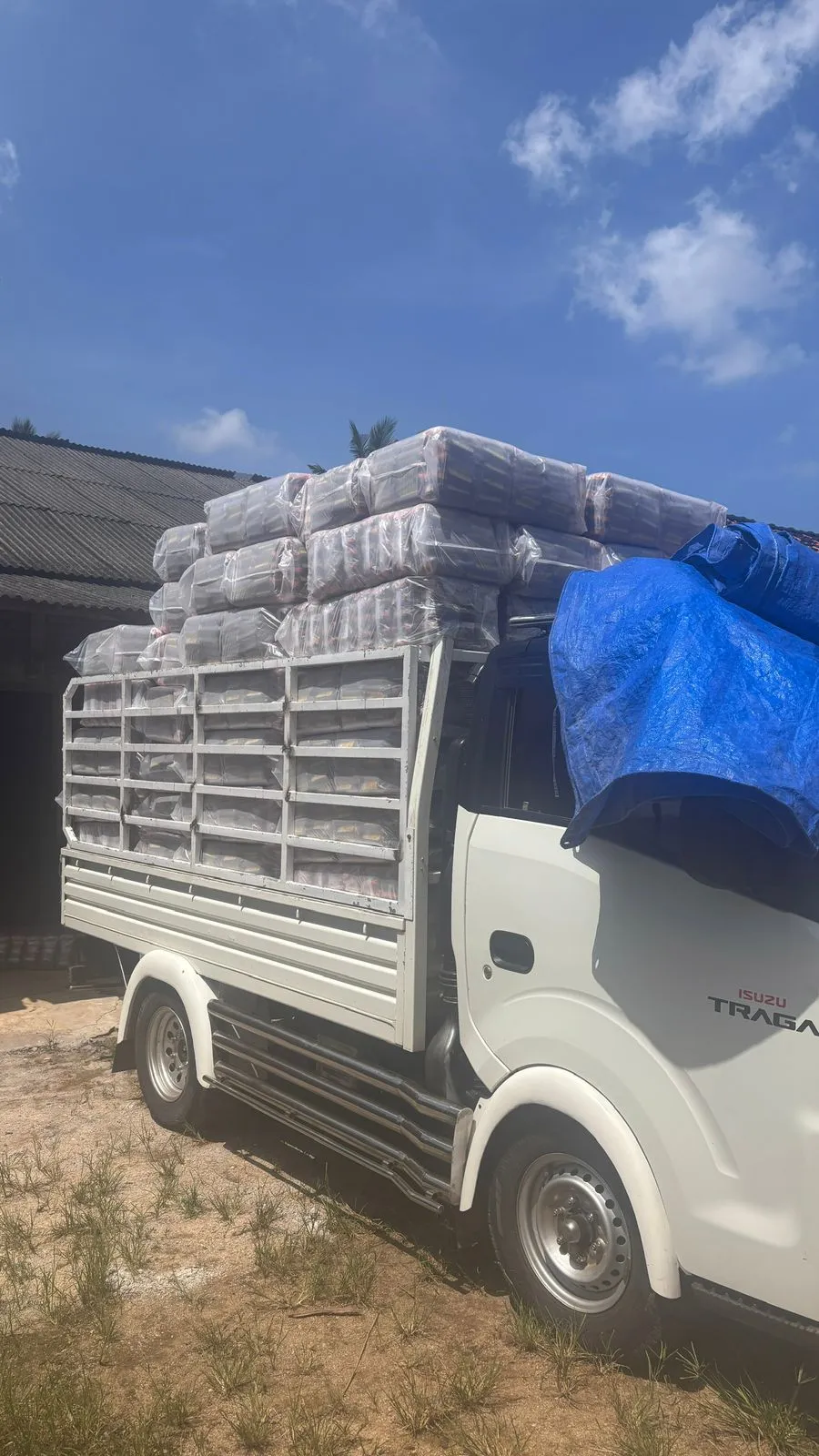 Distribusi Kopi Pringsewu Lampung